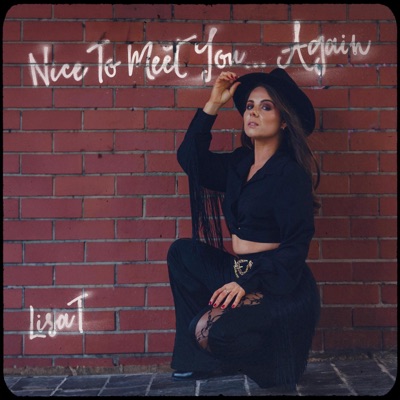 Nice To Meet You...Again - Single