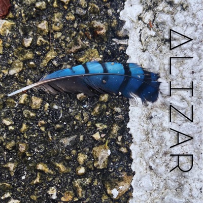 Gravity in Wisdom - EP