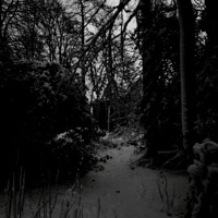 wish you understood - Single - Lowlifenick