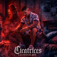 Cicatrices - Single - La Nota El Jefe