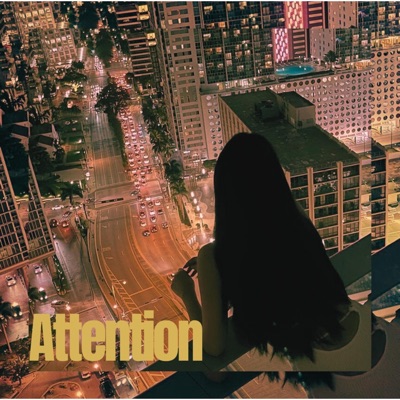 Attention - Single