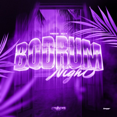 Bodrum Night (Rap La Rue) - Single