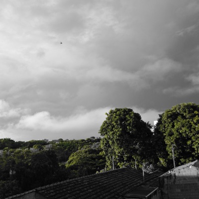 Registros Canônicos-x - Single