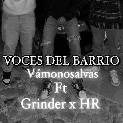 VOCES DEL BARRIO (feat. Grinder 644) [HR Remix] - Single