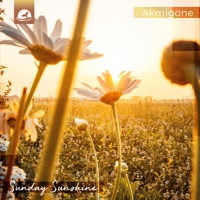 Sunday Sunshine - Single - Akmigone