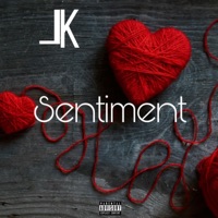 Sentiment - Single - Lk santana