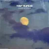 DREAMING ON THE MOON