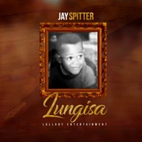 Lungisa - Jay Spitter