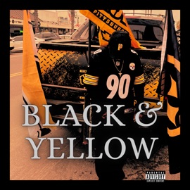 Black and Yellow Skewbee D