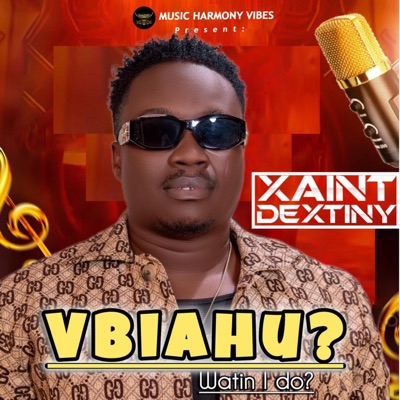 VBIAHU? (WATIN I DO?) - Single