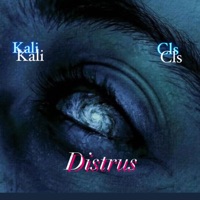 Distrus (feat. Cls) - Single - Kalidasosa