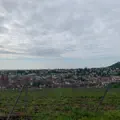 PFALZLIED 2.0