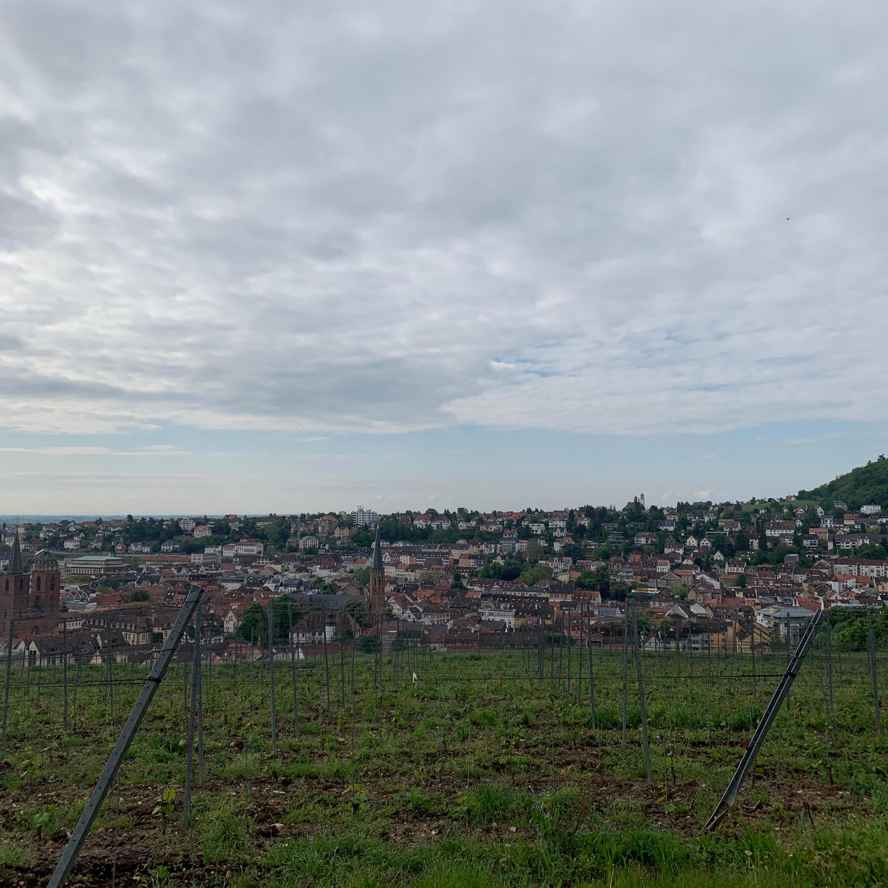 Pfalzlied 2.0 - Single