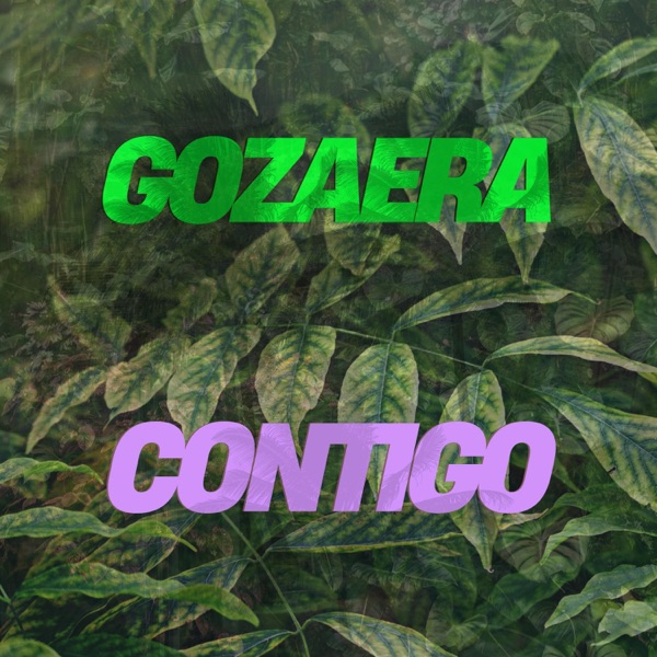 CONTIGO