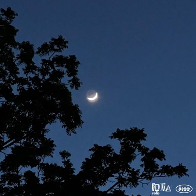 It's True - Single