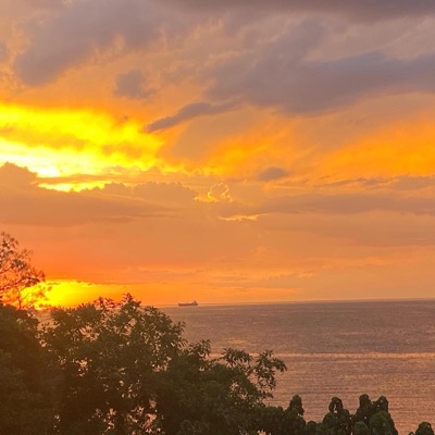 Wish You Were Here ❤️