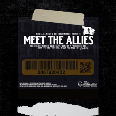 MEET THE ALLIES