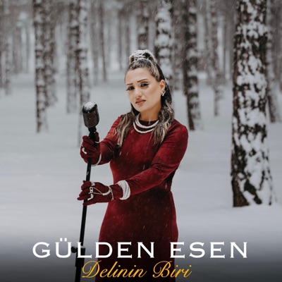 Delinin Biri - Single