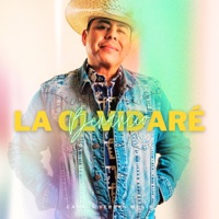 La Olvidaré - Single - Benancio