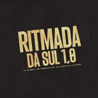 Ritmada da Sul 1.0 (feat. Mc Xavier do CDR) - Single - Dj Pn Beat, MC VITINHO ZS & MC Brew