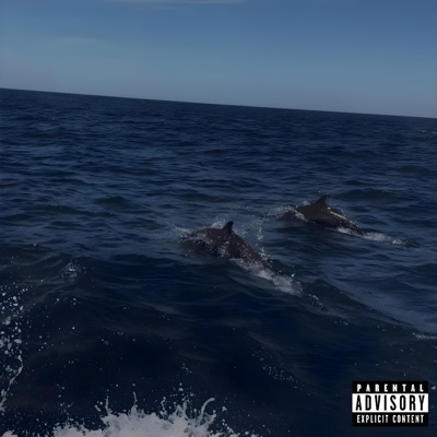 EVIDENTE - Single