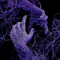 NIGHTFALL - Single - ProdGX