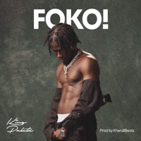 Foko ! - Single - King Paluta