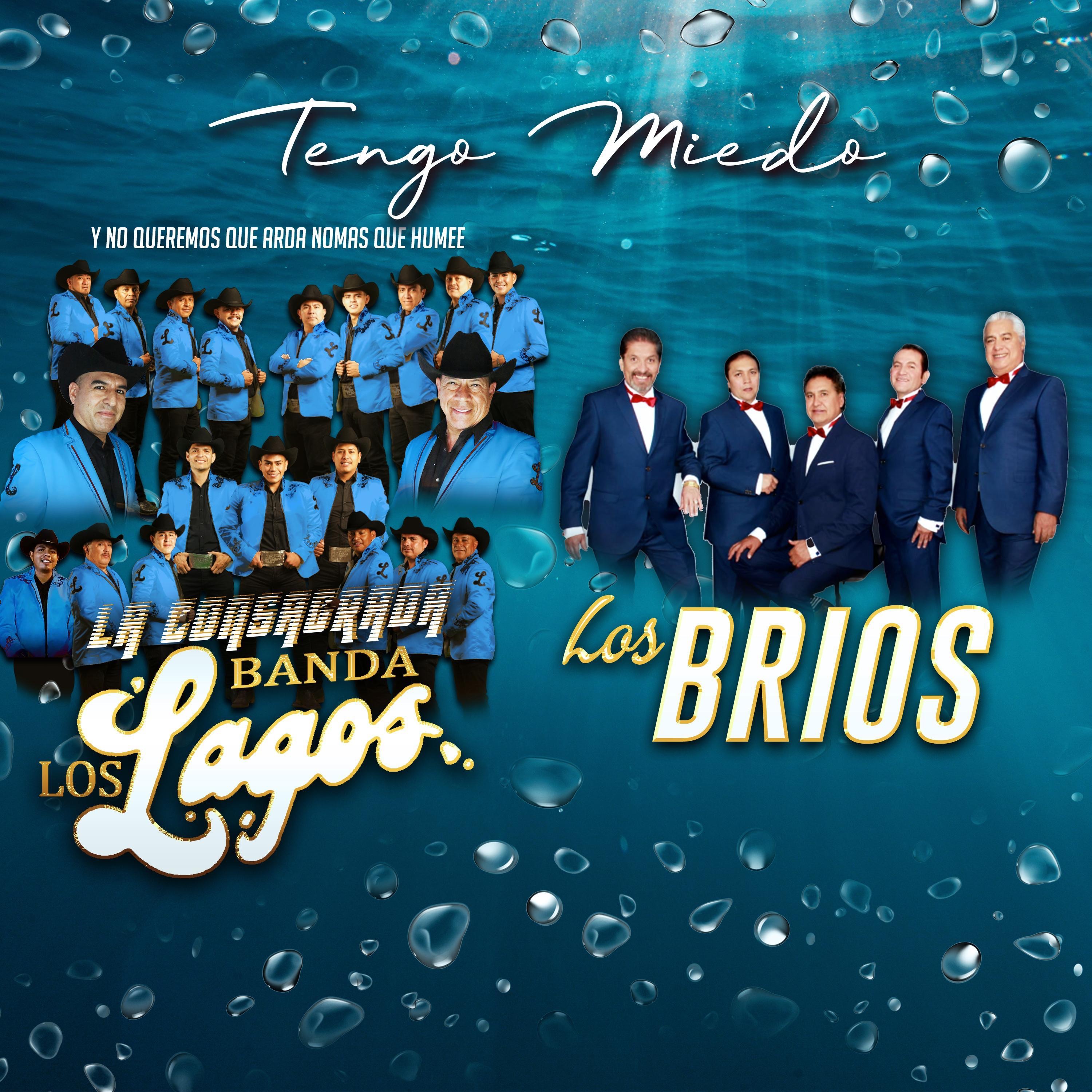Tengo Miedo (feat. Los Brios) - Single