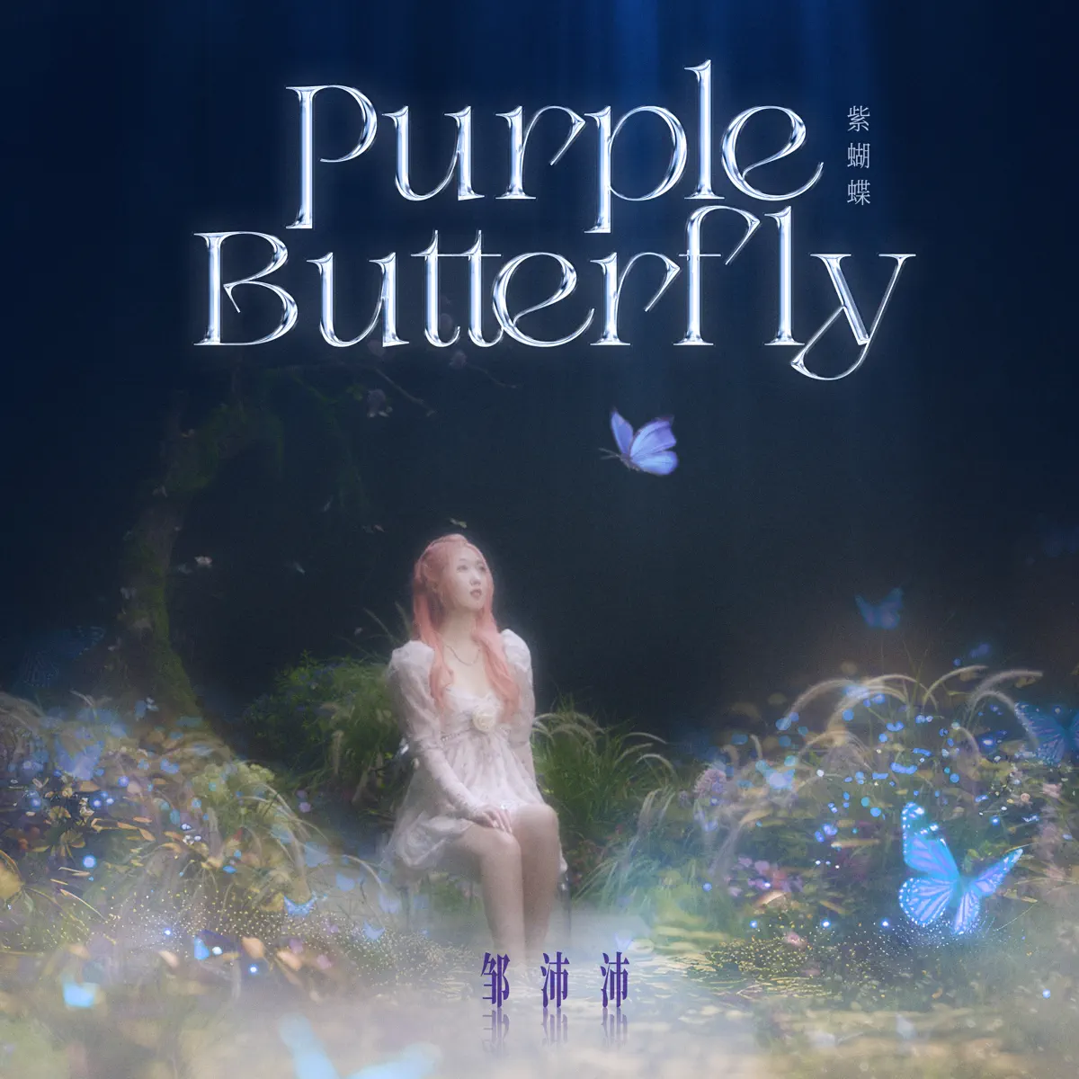 鄒沛沛 - Purple Butterfly - Single (2024) [iTunes Plus AAC M4A]-新房子