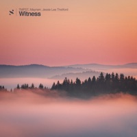 Witness - Single - TMPST, Maynørr & Jessie Lee Thetford