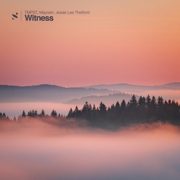 Witness