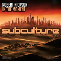In The Moment — Robert Nickson