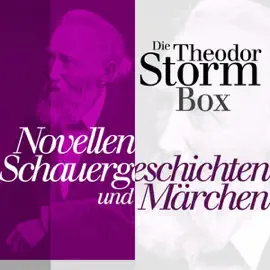 Die Theodor-Storm-Box: Novellen, Schauergeschichten und Märchen von Theodor Storm