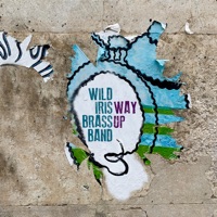 Way Up (feat. Jeff Coffin, Ryoko Suzuki, Ray Mason, Emmanuel Echem, Jovan Quallo, Neil Konouchi & Justin Amaral) - Wild Iris Brass Band