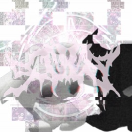 cameras (flash) Scøøb