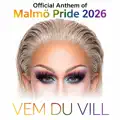 VEM DU VILL
