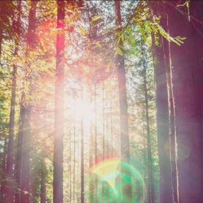 Live Forever - Single