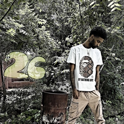 26