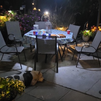 treachery (feat. lil booj & Yokai Dreams) - Single