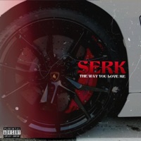 The Way You Love Me (feat. $yn) - Single - SERK