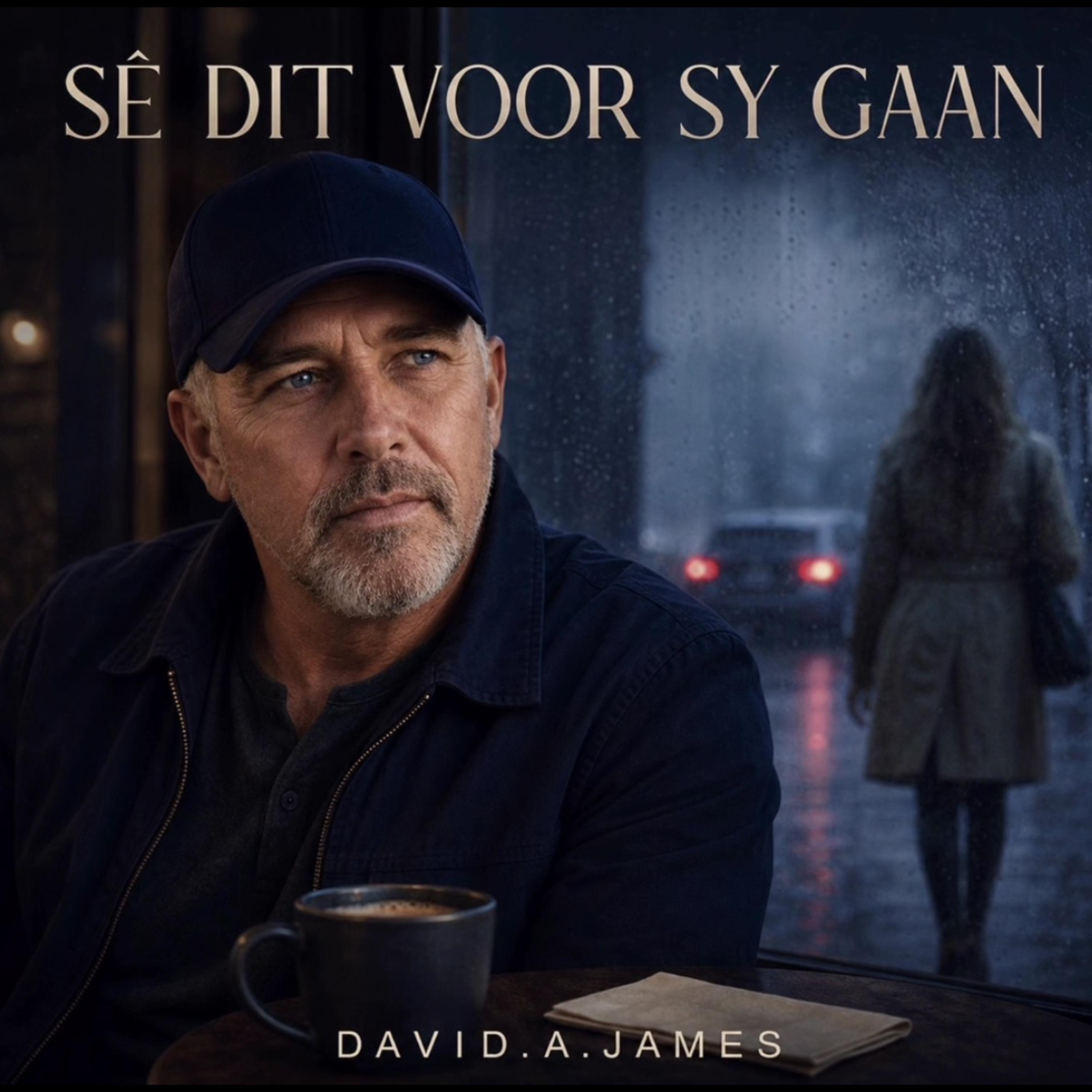 Sê dit voor sy gaan - Single