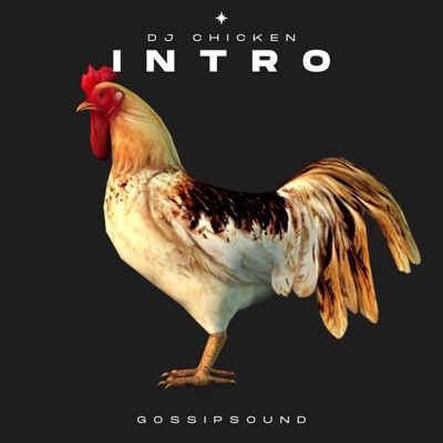 DJ CHICKEN INTRO - Single