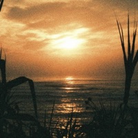Echoes of freedom - Single - Jin.K