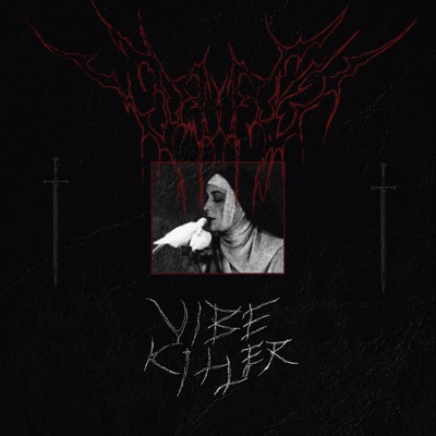 Vibe Killer - Single