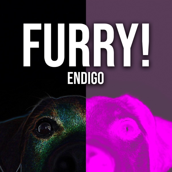 Furry! - Single