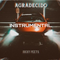 Agradecido (Instrumental) - Single - Heyser Beatz