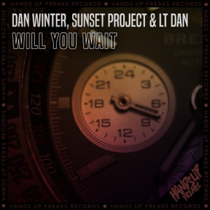 Will You Wait - Single