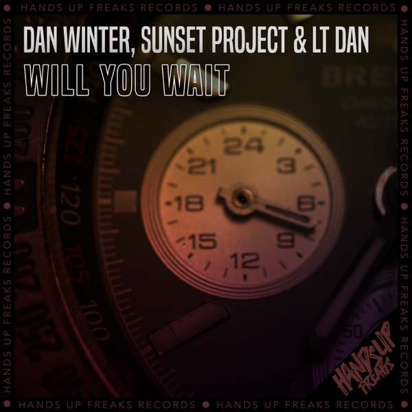 Will You Wait - Single