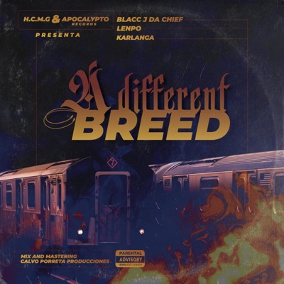 A different breed (feat. Lempo & Karlanga) - Single