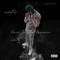 Pain Is the Essence - Single - anti-j